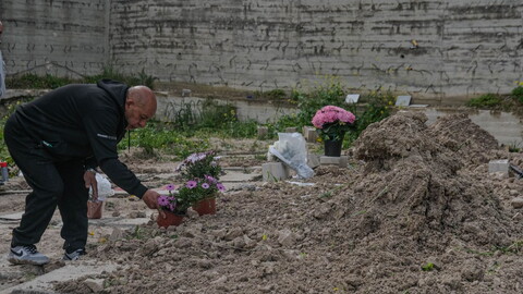A person in a black hoodie places flowers on a fresh grave, in a mass cemetery. 