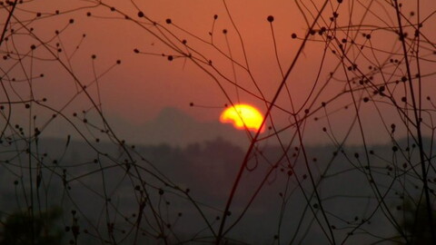 Silhouetted thin branches and twigs fill the foreground against a vibrant reddish-orange sunset with a partially visible sun on the horizon.