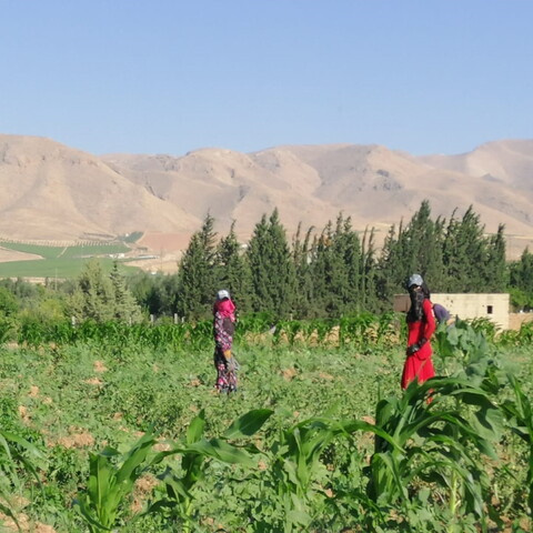 Two women in colorful long dresses, gloves, face-covering scarves, and hats look towards the camera as they stand in a lush field against a mountainous backdrop.