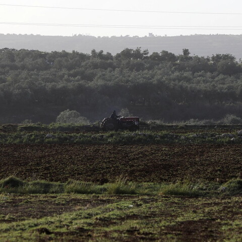 Farmer uses his tractor to till the green land in Akkar