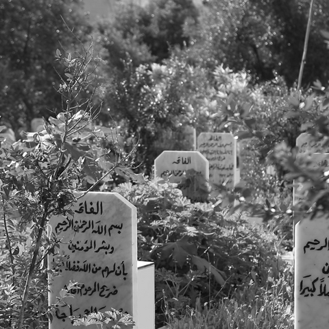 تبدو أضرحة القبور كما شجر الزيتون، مغروسة في تراب مقبرة الشهداء. مخيم برج البراجنة، لبنان. ٤ شباط، ٢٠٢٤. (حَنين عامل، مصدر عام)