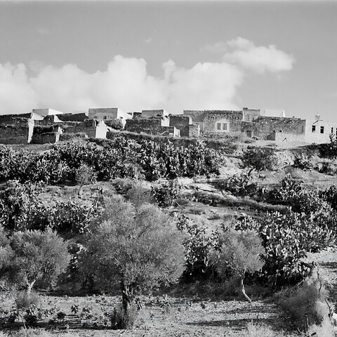 An old black and white photo showcasing a hillside with a castle perched atop.