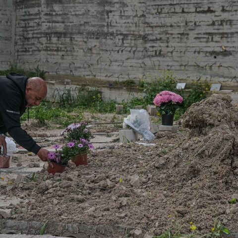 A person in a black hoodie places flowers on a fresh grave, in a mass cemetery. 