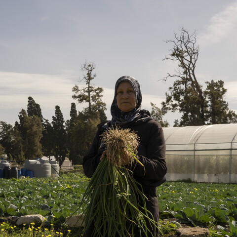 A woman in a dark headscarf stands in an outdoor crop field holding a large, freshly harvested bundle of green scallions with their roots exposed.
