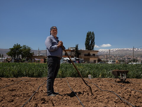 Kassem El Zo‘obi, born and raised in Saadnayel, Lebanon, adds manure to his field as a natural fertilizer.