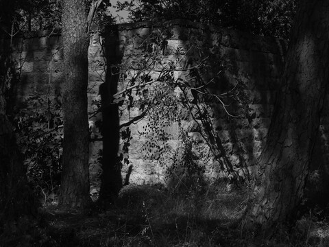 Ruins of a possible cistern near Webster House, Asfuriyyeh. Hazmieh, Lebanon.