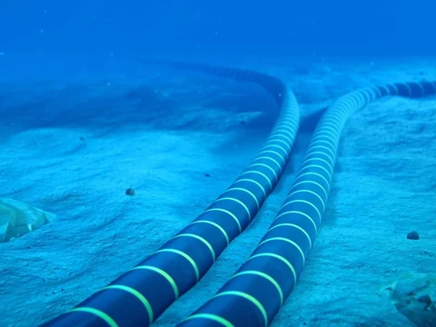 Submarine cables laying on a seabed.