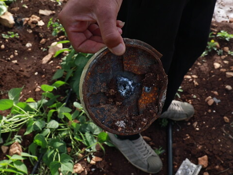 A man, wearing black pants and white sneakers, is holding a leftover White Phosphorus munition shell that fell on his land against a background of greenery..