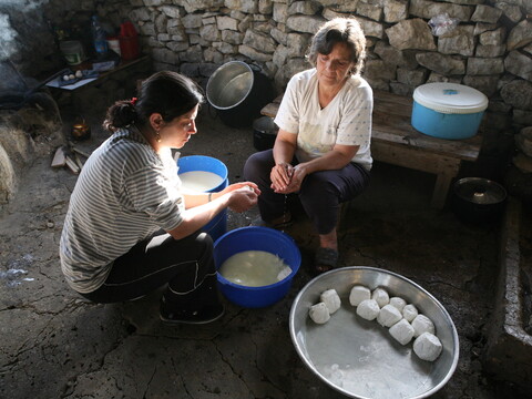 Two women sit on stools in a rustic stone-walled room making cheese; both shape curds in a blue bucket, while cheese rounds rest in a metal tray on the floor