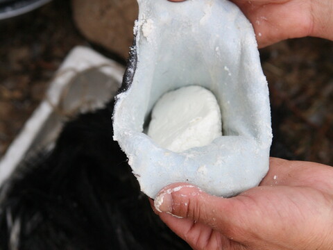 A pair of hands holds a pouched sheep skin with a round piece of fresh white cheese inside.