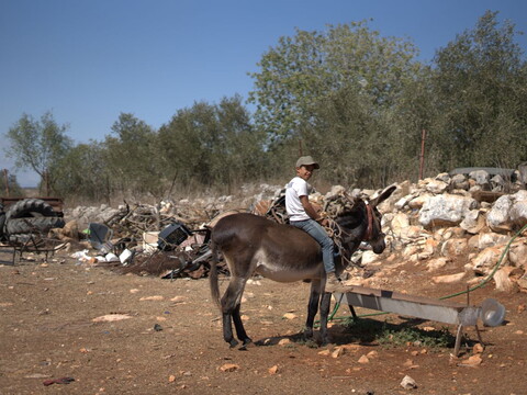 A young boy rides a donkey near his home in Houla, south Lebanon.