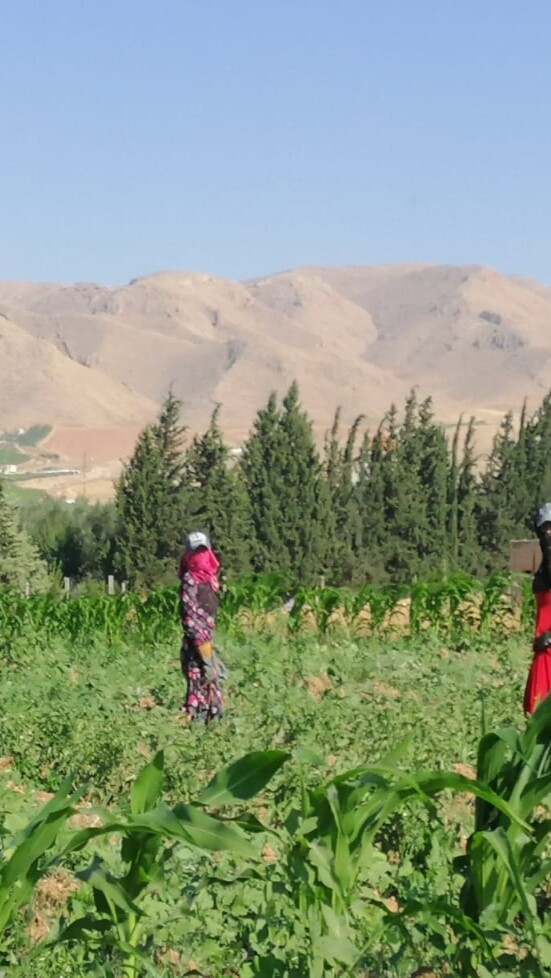Two women in colorful long dresses, gloves, face-covering scarves, and hats look towards the camera as they stand in a lush field against a mountainous backdrop.