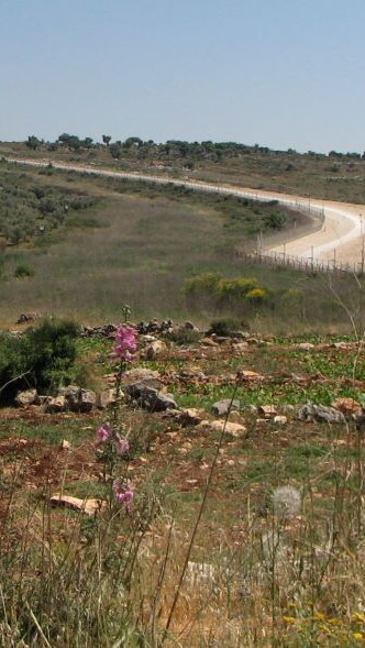 Landscape of Dhaira, Lebanon.