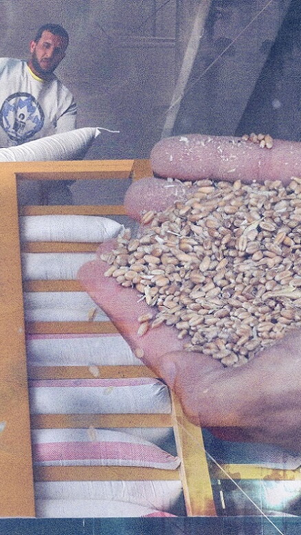 A composite image of hands cupping grains of wheat against the backdrop of a mill worker loading bags of flour onto a truck in Beirut, Lebanon.