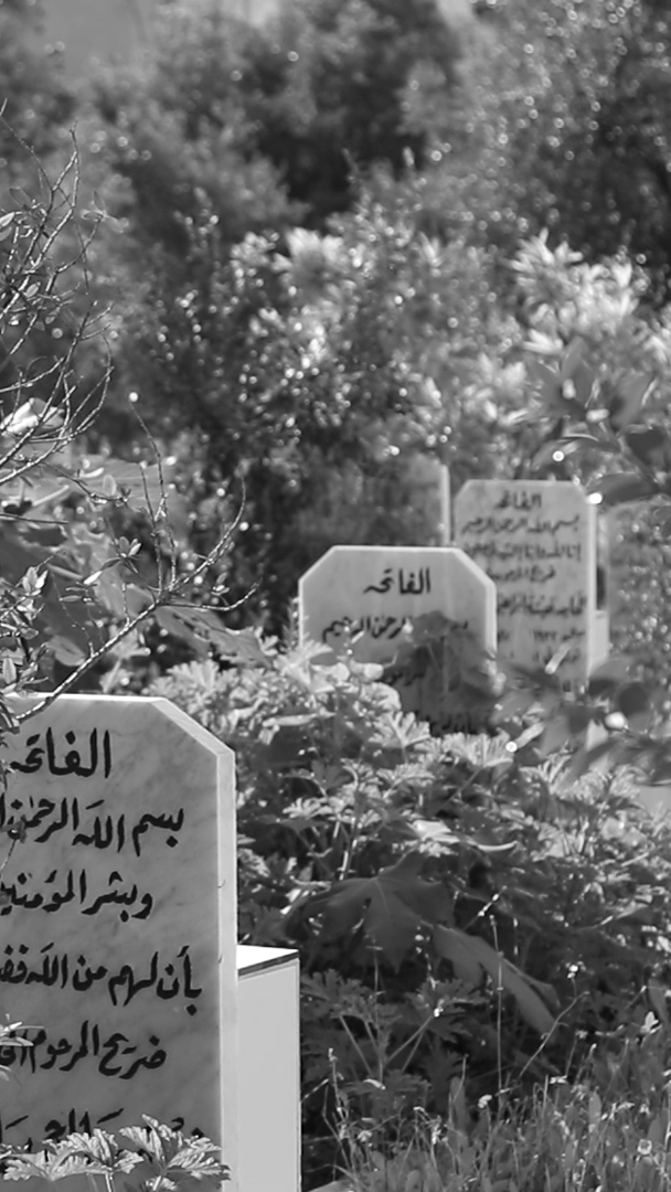 تبدو أضرحة القبور كما شجر الزيتون، مغروسة في تراب مقبرة الشهداء. مخيم برج البراجنة، لبنان. ٤ شباط، ٢٠٢٤. (حَنين عامل، مصدر عام)