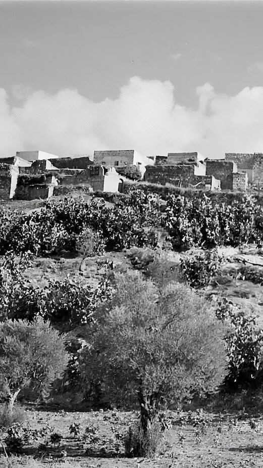 An old black and white photo showcasing a hillside with a castle perched atop.