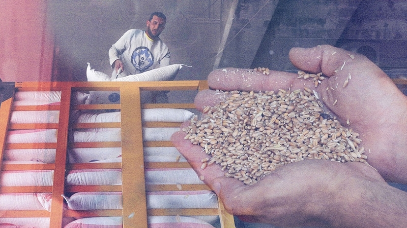 A composite image of hands cupping grains of wheat against the backdrop of a mill worker loading bags of flour onto a truck in Beirut, Lebanon.
