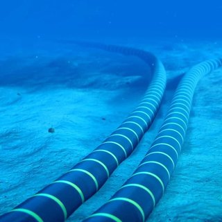 Submarine cables laying on a seabed.