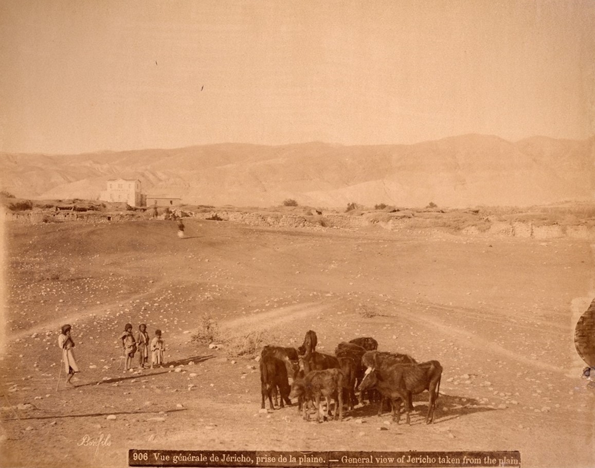 General view of Jericho taken from the plain. Cows in the foreground. Children on the left-hand side.