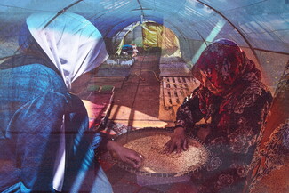 A composite image of Fodda El Youssef (left) and her mother Aziza Sattouf (right) manually sorting wheat to be sent to a mill in Saadnayel, Lebanon, against the backdrop of Seed in a Box's vegetable seedling greenhouse in Beddawi, Lebanon.