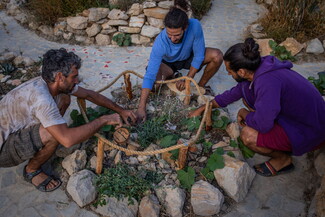Three men squat around a circular patch of soil planted with ornamental wild plants.