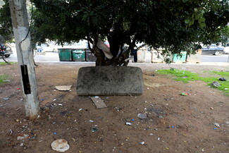 An old dirty mattress is laid against a tree.