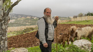 On the way to Houla, a resilient shepherd tending to his flock welcomes the visitors coming to join the funeral near the Sawaneh village. March 6, 2024. Houla, South Lebanon. (Fatima Joumaa/The Public Source)
