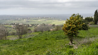 Behind this orange tree in Houla, the villages of Wadi Saluki come into view, stretching from the outskirts of Aitaron to the Hujeir Valley. 