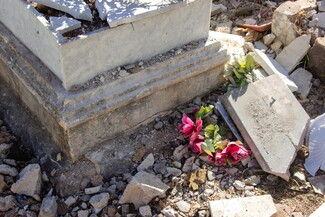 A flower between the rubble from cracked tombstones inside Bachoura Cemetery. 