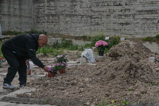 A person in a black hoodie places flowers on a fresh grave, in a mass cemetery. 