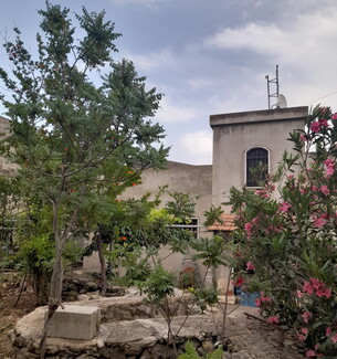 A grey house surrounded by a garden and trees, two of them bearing flowers.