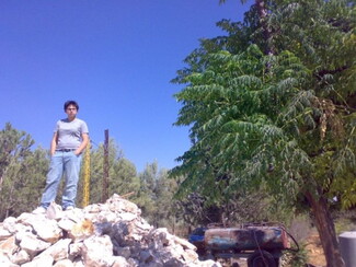 A person stands on the rubble of a bombed house under a clear blue sky. 