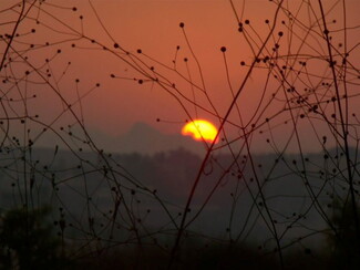Silhouetted thin branches and twigs fill the foreground against a vibrant reddish-orange sunset with a partially visible sun on the horizon.