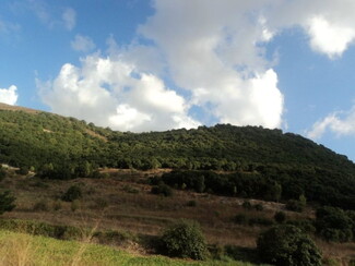 A lush green hill under a bright blue sky filled with fluffy white clouds in al-Suwaneh, south Lebanon. 