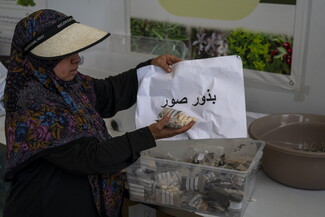 A woman wearing a patterned headscarf and a sun visor holds up a piece of white paper containing Arabic text that reads "بذور صور" (Seeds of Tyre), alongside a small bag of seeds.
