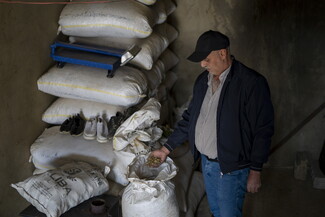 Inside a dimly lit storage room, a man wearing a cap inspects a handful of seeds taken from an open white sack. Several stacked, sealed sacks and a blue weighing scale are visible behind him.