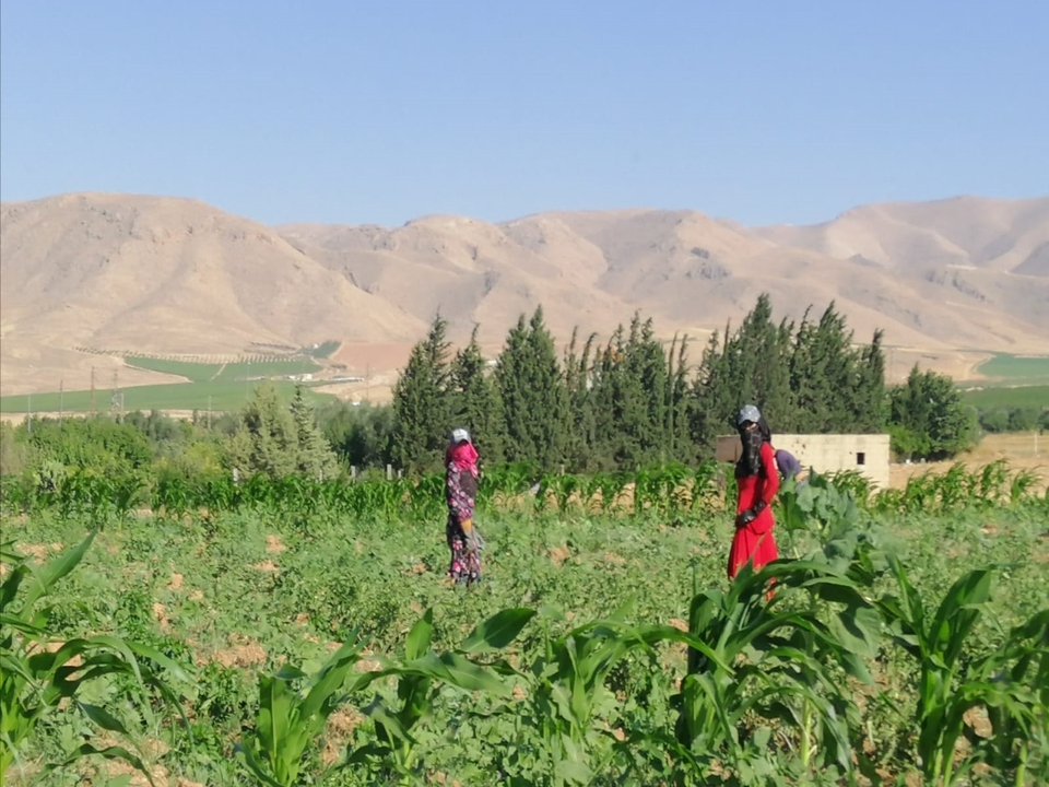 Two women in colorful long dresses, gloves, face-covering scarves, and hats look towards the camera as they stand in a lush field against a mountainous backdrop.