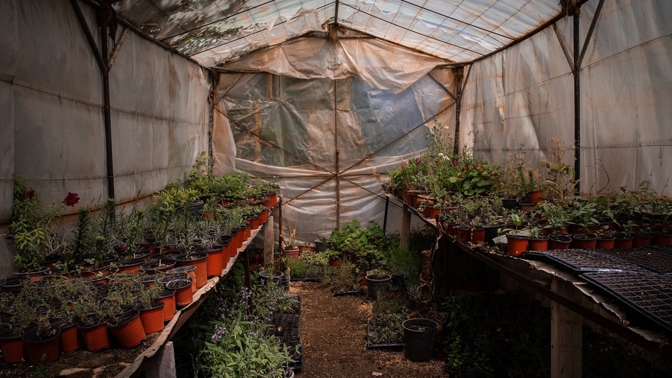 A seedlings greenhouse for flowers and aromatics at the Buzuruna Juzuruna farm in Saadnayel, Lebanon. 