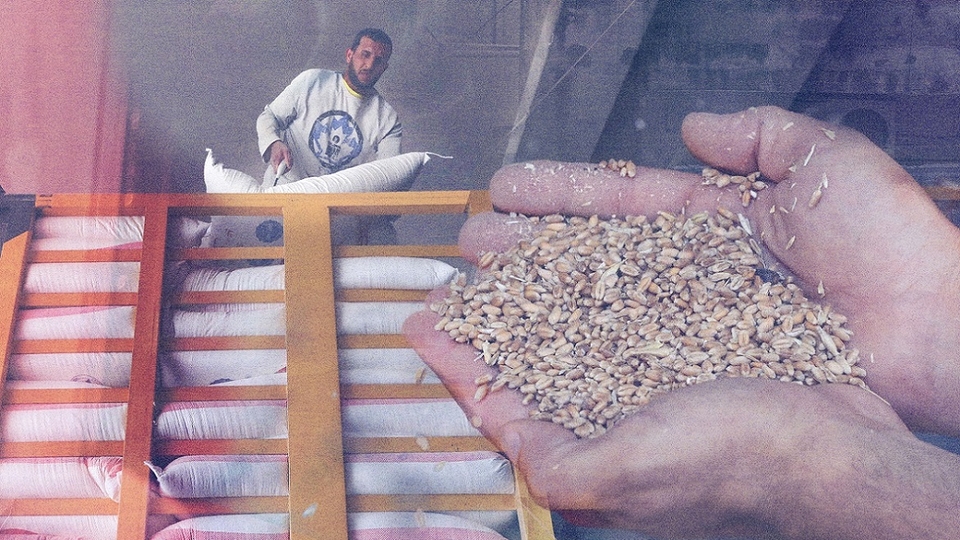A composite image of hands cupping grains of wheat against the backdrop of a mill worker loading bags of flour onto a truck in Beirut, Lebanon.