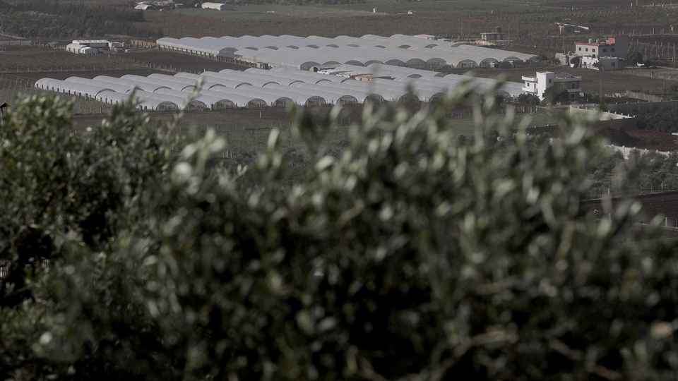 Overview of agricultural plastic tents from the top of a hill in Miniara, Akkar.